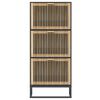vidaXL Schuhschrank Schwarz 52x25x120 cm Holzwerkstoff