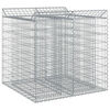 vidaXL Gabionen-Hochbeet 2 stk. 100 x 100 x 100 cm Verzinkter Stahl