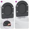 vidaXL Toilettensitz Anthrazit 44 x 36,4 x 3,4 cm Duroplast
