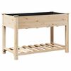 vidaXL Garten-Pflanzgef&auml;&szlig; mit Regal Beige 115 x 59 x 76,5 cm