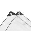 vidaXL Transparente Plane mit &Ouml;sen 6x6 m Polyethylen