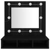 vidaXL Spiegelschrank mit LED Schwarz 60x31,5x62 cm