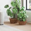 vidaXL Blumentopfkorb mit Speicher 2 pcs Braun Lacak Rattan