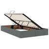 vidaXL Bett mit Stauraum und LED mit LED Dunkelgrau 120 x 190 cm Stoff