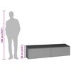 vidaXL Garten-Auflagenbox Hellgrau 220x50x58 cm Poly Rattan