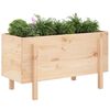 vidaXL Hochbeet 101x50x57 cm Massivholz Kiefer