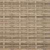 vidaXL Sonnenliege mit Kissen Beige Poly Rattan