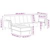 vidaXL Schlafsofa 2-Sitzer mit Hocker & Zwei Kissen Hellgr&uuml;n Samt