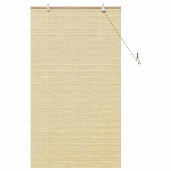 vidaXL Rollo mit Vorh&auml;ngen Natur 80 x 160 cm Bambus