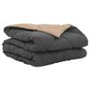 Anthracite_and_taupe