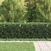 vidaXL Ringzaun Schwarz 200 x 130 cm Pulverbeschichteter Stahl