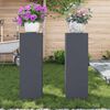 vidaXL Pflanzenst&auml;nder 2 pcs Anthrazit 24 x 24 x 75 cm Stahl