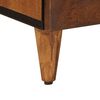 vidaXL Sideboard mit Speicher Walnuss 40 x 33 x 75 cm Massivholz Mango