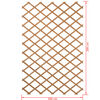 Nature Garten-Rankgitter 100x200 cm Holz Natur 6041703