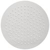 vidaXL Regenbrause Edelstahl 304 25 cm Rund
