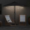 vidaXL Garten-Sonnenschirm Schwarz 294 x 150 x 223 cm