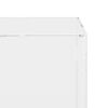 vidaXL Displaybox Transparent 31x17x19 cm Acryl
