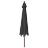 vidaXL Sonnenschirm mit Holzmast Schwarz 400x273 cm
