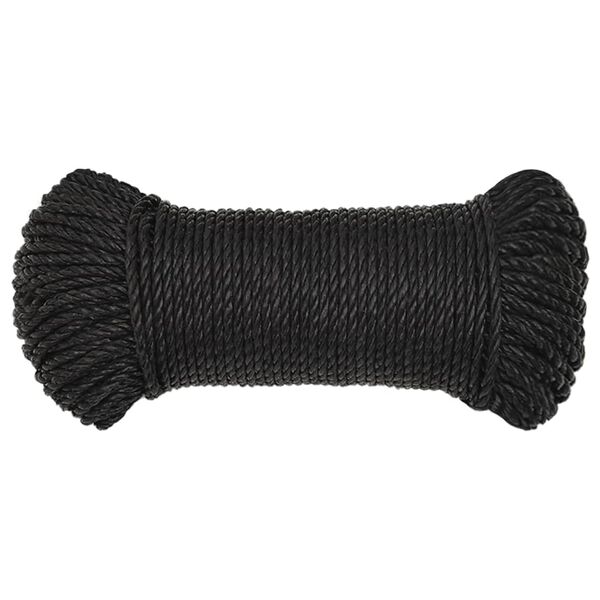vidaXL Arbeitsseil Schwarz 6 mm 100 m Polypropylen