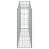 vidaXL Gabionen mit Hochbogen 30 Stk. 200x30x80/100cm Verzinktes Eisen