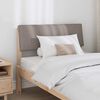 vidaXL Gepolstertes Kopfteil Taupe 100 cm Massives Kiefernholz