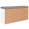 vidaXL Schuhbank Wei&szlig; 102x32x50 cm Holzwerkstoff