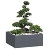 Produkt-Miniaturbild 2 von 9