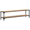 vidaXL TV-Schrank 150x30x40 cm Mango Massivholz