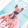 Produkt-Miniaturbild 5 von 7