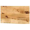 vidaXL Tischplatte 60x40x3,8 cm Baumkante Massivholz Raues Mangoholz