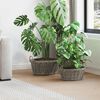 vidaXL Blumentopfkorb mit Speicher 2 pcs Grau Lacak Rattan