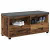 vidaXL Flurbank Altholz 100 x 38 x 46 cm Spanplatte und Polsterstoff
