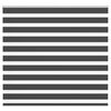 vidaXL Doppelrollo Schwarz 155x150 cm Stoffbreite 150,9 cm Polyester