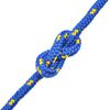vidaXL Bootsseil Polypropylen 10 mm 250 m Blau
