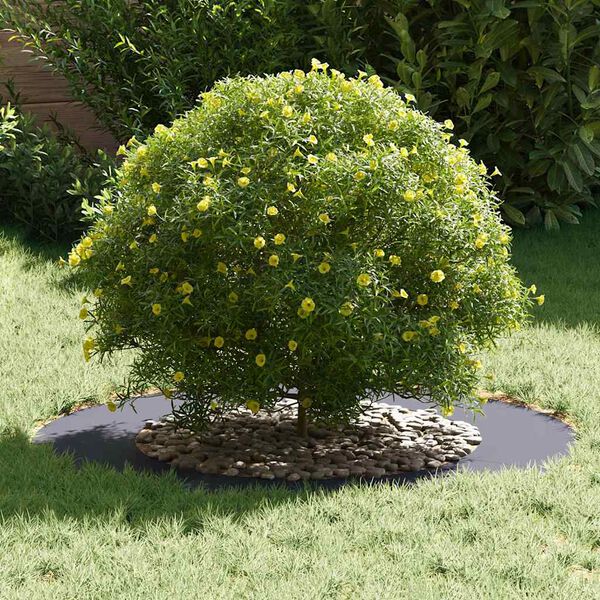 vidaXL geeignet f&uuml;r flache Baumringe 5 pcs Anthrazit &Oslash;50 / 80 cm Stahl