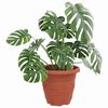 vidaXL Runder Blumentopf 6 pcs Ziegelrot &Oslash; 26 x 21,5 cm Kunststoff