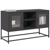 vidaXL TV-Schrank Schwarz 100,5x39x60,5 cm Stahl