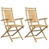 vidaXL Gartenst&uuml;hle 2 Stk. Klappbar 53x66x99 cm Bambus