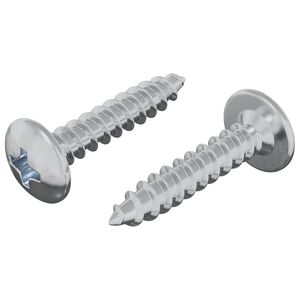 vidaXL Selbstschneidender Nagel 2 stk. Zink-beschichtet 4 x 20 mm