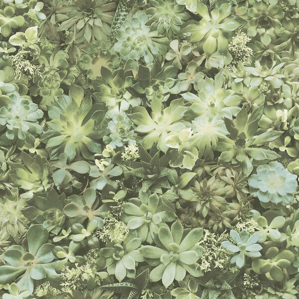 Noordwand Tapete Evergreen Succulent Gr&uuml;n und Beige