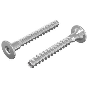 vidaXL Confirmat-Schrauben 2 pcs Silber Metall