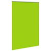 vidaXL Verdunkelungsrollo Gr&uuml;n 160x210cm Stoffbreite 156,6cm Polyester