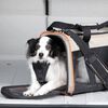 Kurgo Hundetragetasche Wander Carrier" Schwarz, Orange und Sandfarbe