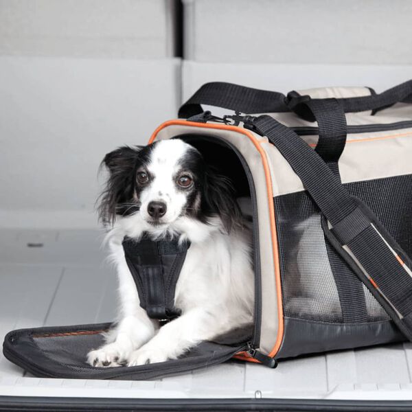 Kurgo Hundetragetasche Wander Carrier" Schwarz, Orange und Sandfarbe