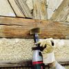 wolfcraft Holz-Struktur-B&uuml;rste 80 mm Gelb