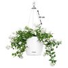 LECHUZA Blumenampel NIDO Cottage 28 ALL-IN-ONE Wei&szlig;