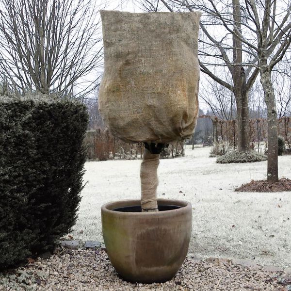 Nature Winterschutz Jute 230 g/m&sup2; Natur 0,75x1 m