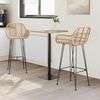 vidaXL Barstuhl 2 pcs Natur 55 x 52 x 105 cm Rattan und Eisen