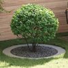vidaXL geeignet f&uuml;r flache Baumringe 5 pcs Silber &Oslash;90 / 120 cm