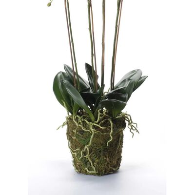 Emerald Kunstpflanze Phalaenopsis mit Moos Weiß 90 cm 20.355